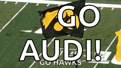 Black And Yellow Flag Go Audi Go Hawks GIF