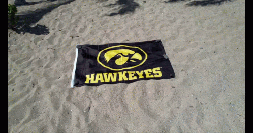 Black and Yellow Hawkeyes Flag in Sand
