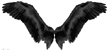 Black Angel Wings Spread