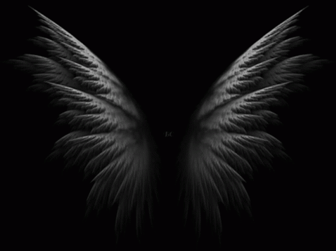 Black Background Dark Wings GIF