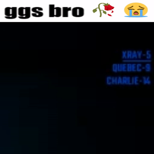 Black Background GGs Bro Xray-5 Quebec-9 Charlie-14 Crying Face GIF