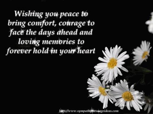 Black Background White Daisies Wishing You Peace