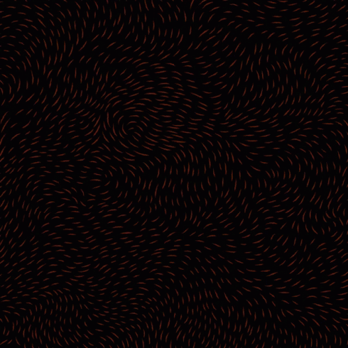 Black Background With His Name Was Adam Toledo GIF