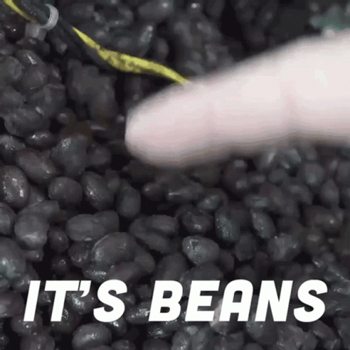 Black Beans Fresh Harvest GIF