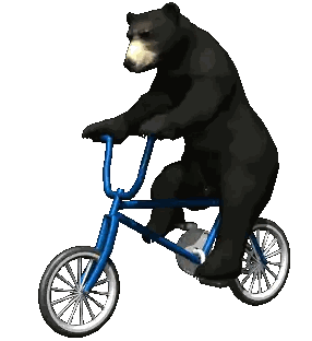 Black Bear on Bicycle