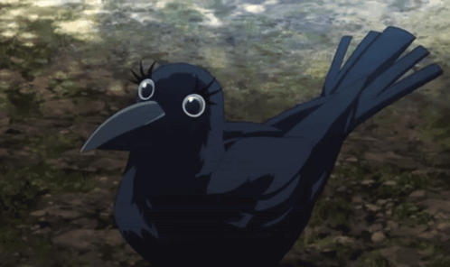 Black Bird With Long Beak Standing on Rocky Surface