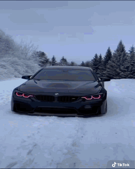 Black BMW Driving in Snow