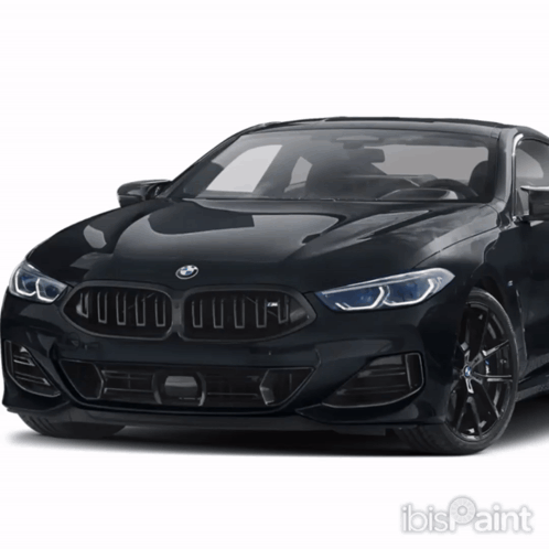 Black BMW With Black Grille
