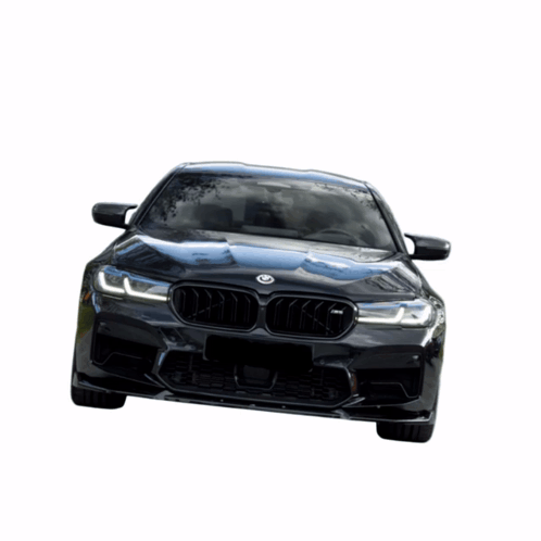 Black BMW With White Emblem