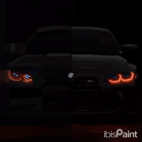 Black BMW With White License Plate