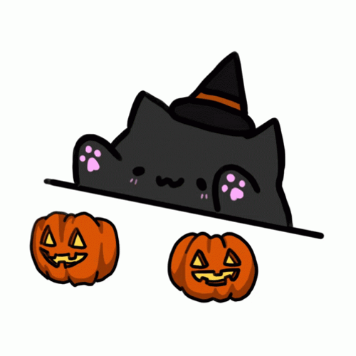Black Bongo Cat Dressed As Witch GIF