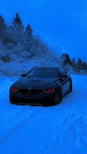 Black Car Parked in Snow in Front of Snowy Forest