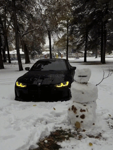 Black Car Parked Next to Snowman