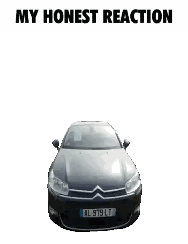 Black Car with License Plate AL-979-LT