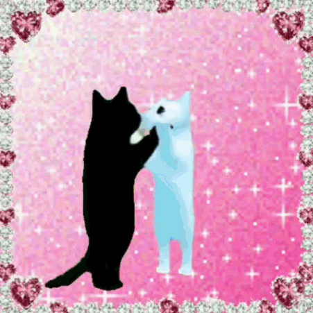 Black Cat And White Cat Hugging On Pink Background GIF