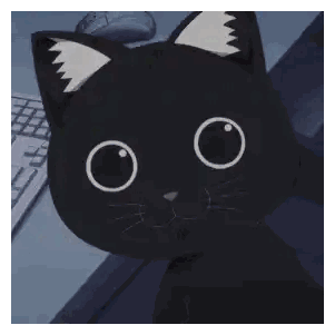 Black Cat Close Up with White Ear
