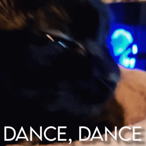 Black Cat Dancing Meme GIF