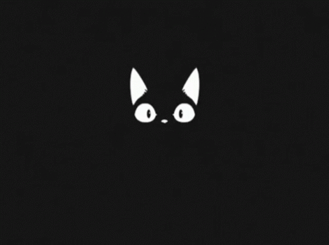Black Cat Dark Cartoon GIF