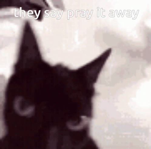 Black Cat Did You Pray Today Meme GIF
