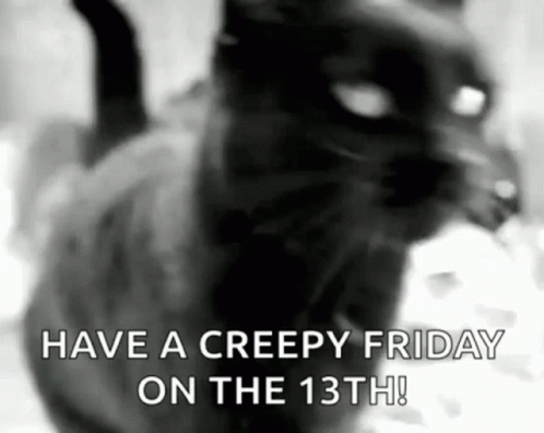 Black Cat Friday The 13th GIF