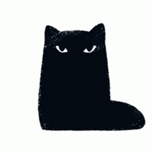 Black Cat Glare GIF