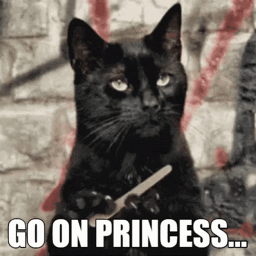 Black Cat Go On Princess GIF