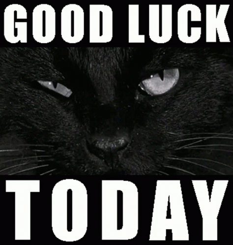 Black Cat Good Luck Today