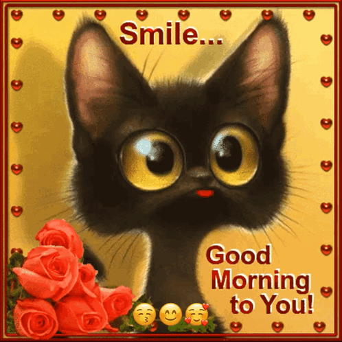 Black Cat Good Morning My Friend GIF