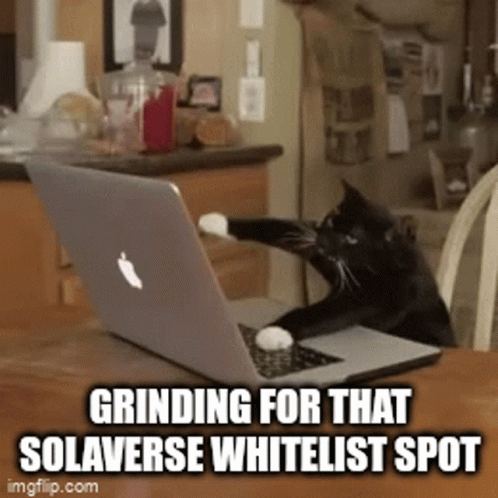 Black Cat Grinding For Solaverse Whitelist Spot Meme GIF