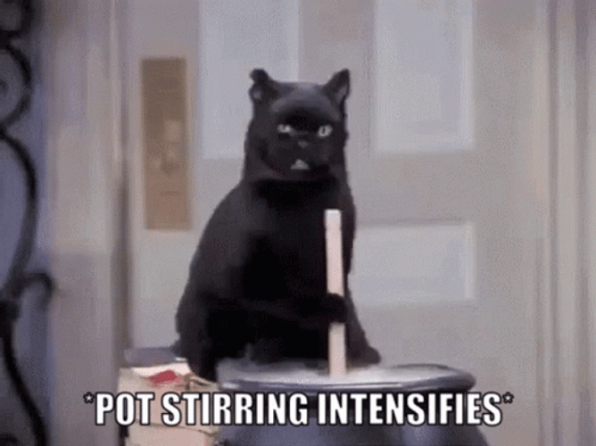 Black Cat Happily Stirring The Pot GIF