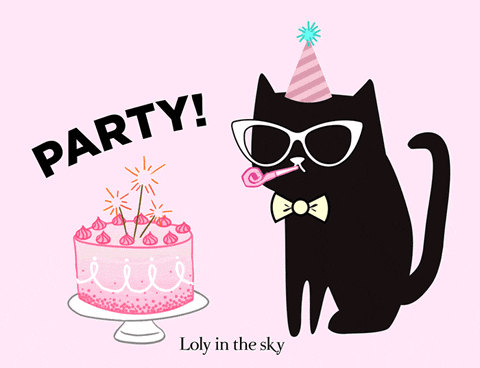 Black Cat Happy Birthday Brother Meme GIF
