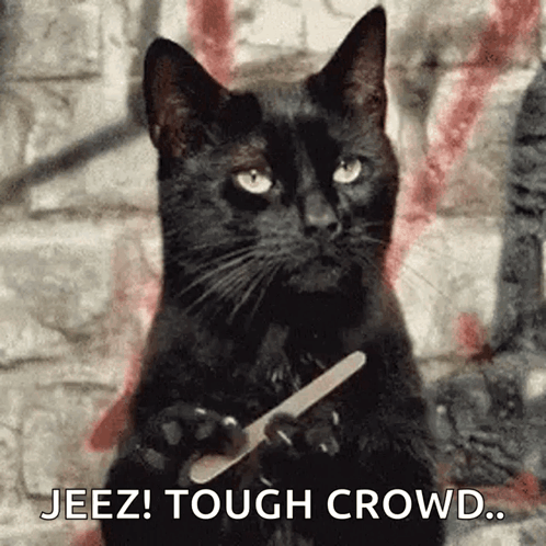Black Cat Holding Nail File