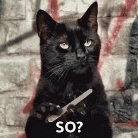 Black Cat Holding Nail File and Asking So