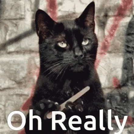 Black Cat Holding Nail File Oh Really
