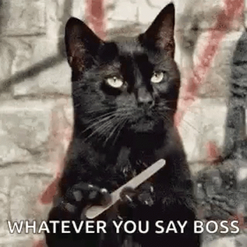 Black Cat Holding Nail File Saying Whatever You Say Boss