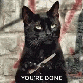 Black Cat Holding Nail File Says You're Done