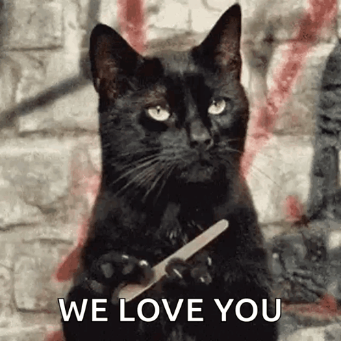 Black Cat Holding Nail File We Love You GIF