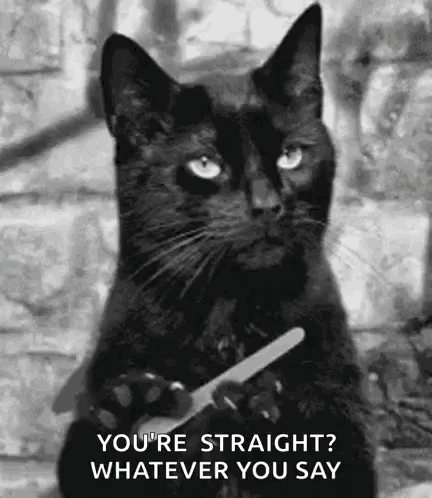 Black Cat Holding Scissors