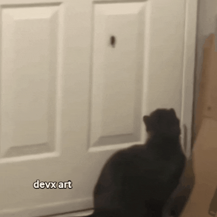 Black Cat Hunting Roaches GIF