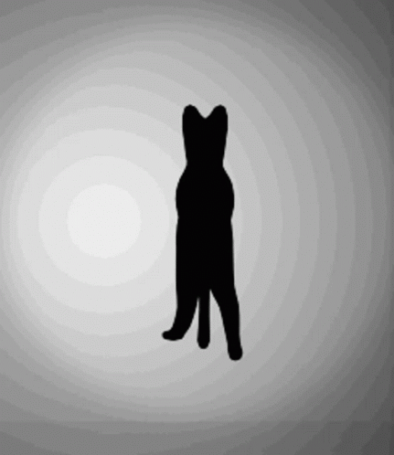 Black Cat Illusion GIF