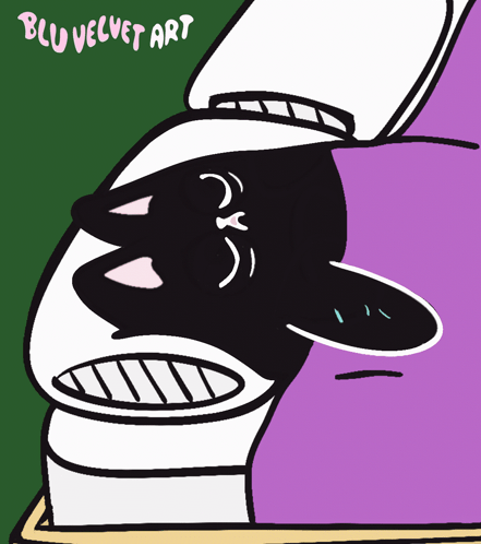 Black Cat Im Awake GIF