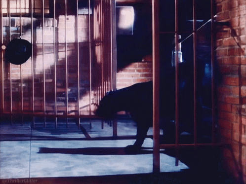 Black Cat in Cage Thriller Glitter