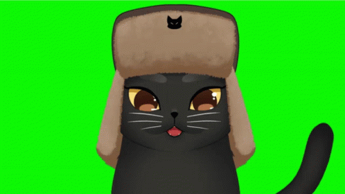 Black Cat in Furry Hat with Cat