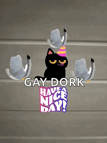Black Cat in Party Hat Surrounded by Seagulls Gay Dork Have a Nice Day
