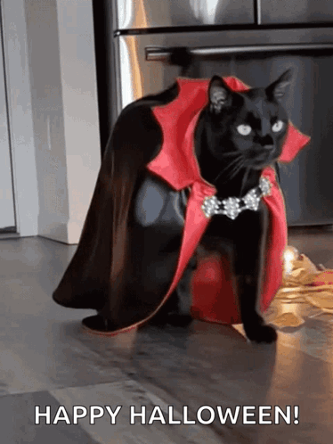 Black Cat in Red Cape Says Happy Halloween