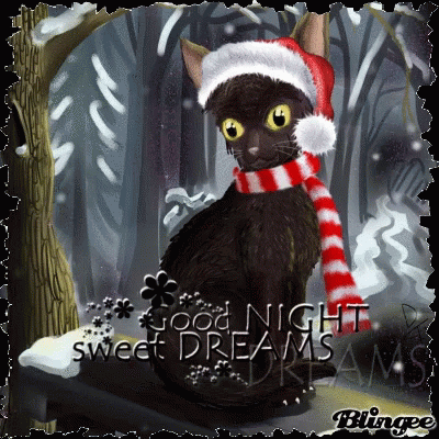 Black Cat in Santa Hat and Scarf Saying Good Night Sweet Dreams