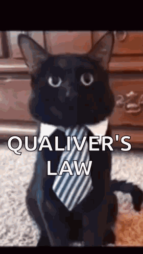 Black Cat in Tie Collar Saying Qualiver's Law