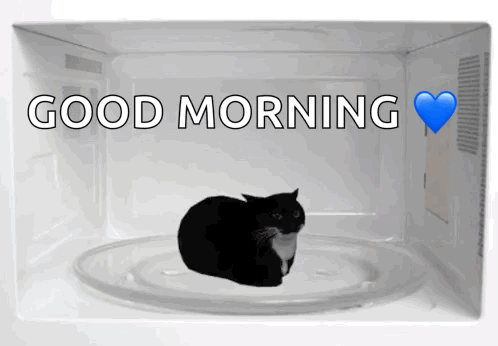 Black Cat Laying In Microwave Good Morning GIF