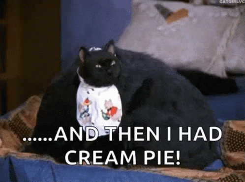 Black Cat Laying On Bed And Then I Had Cream Pie GIF