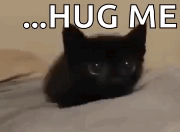 Black Cat Laying on Bed Saying Hug Me